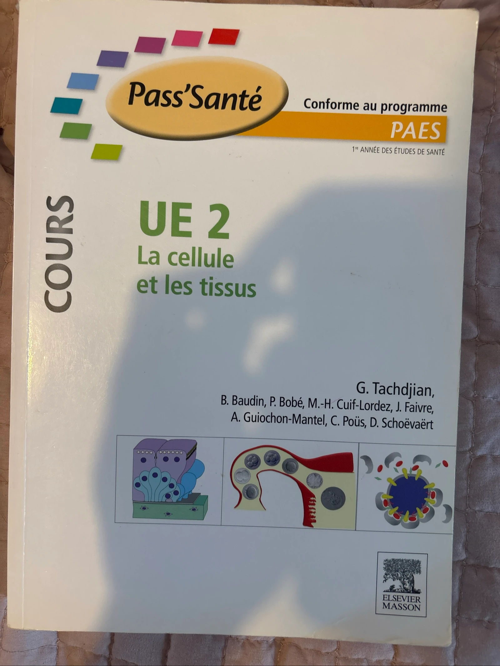 UE La cellule et les tissus 